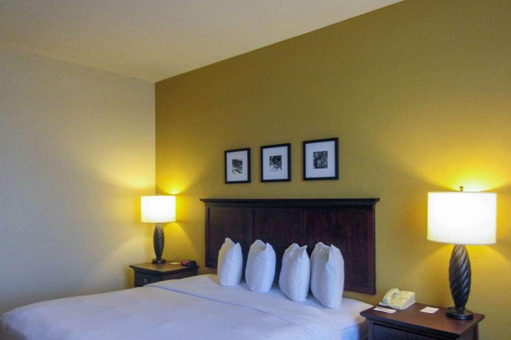 Comfort Inn & Suites Dover Habitación foto